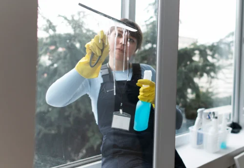 Nettoyage de vitres intérieures et extérieures à Bassac
